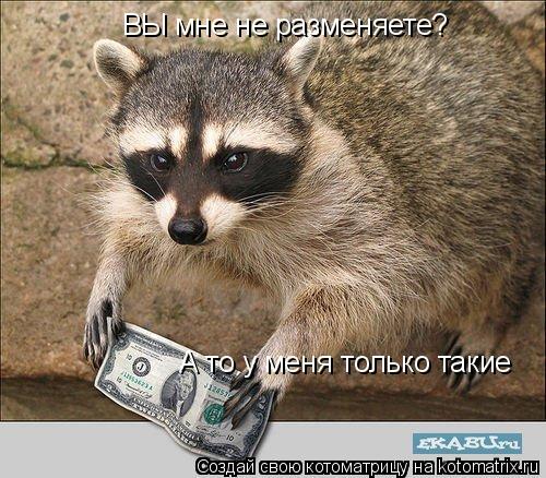 ВЫ мне не разменяете? А то у меня только такие... Котоматрица: ВЫ мне не разменяете? А то у меня только такие