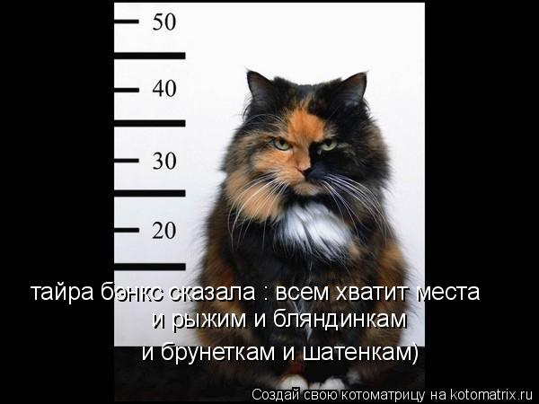 тайра бэнкс сказала : всем хватит места и рыжим и бляндинкам и брунеткам и шатенкам)... Котоматрица: тайра бэнкс сказала : всем хватит места и рыжим и бляндинкам и брунеткам и шатенкам)