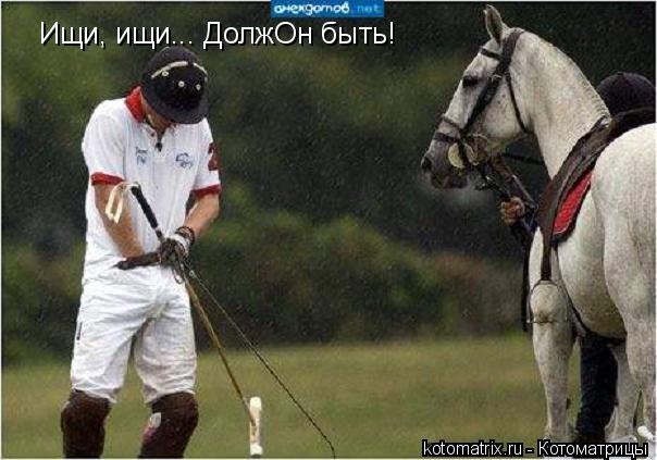 Ищи, ищи... ДолжОн быть!... Котоматрица: Ищи, ищи... ДолжОн быть!