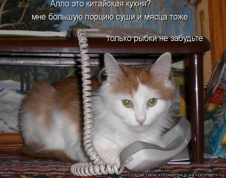 Алло это китайская кухня? только рыбки не забудьте мне большую порцию суши и мясца тоже... Котоматрица: Алло это китайская кухня? только рыбки не забудьте мне большую порцию суши и мясца тоже