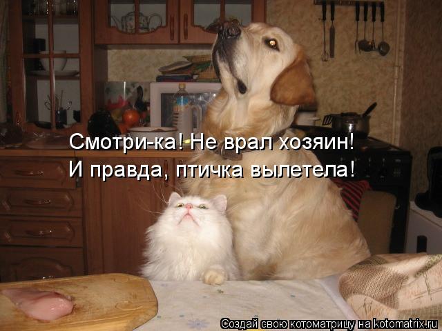 Смотри-ка! Не врал хозяин! И правда, птичка вылетела!... Котоматрица: Смотри-ка! Не врал хозяин! И правда, птичка вылетела!