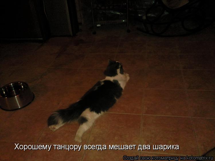 Хорошему танцору всегда мешает два шарика... Котоматрица: Хорошему танцору всегда мешает два шарика