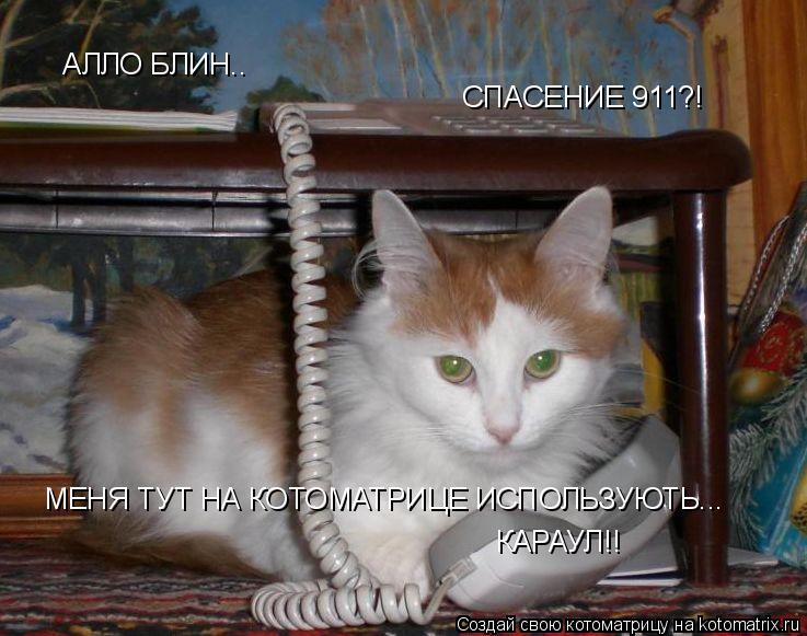 АЛЛО БЛИН.. СПАСЕНИЕ 911?! МЕНЯ ТУТ НА КОТОМАТРИЦЕ ИСПОЛЬЗУЮТЬ... КАРАУЛ!!... Котоматрица: АЛЛО БЛИН.. СПАСЕНИЕ 911?! МЕНЯ ТУТ НА КОТОМАТРИЦЕ ИСПОЛЬЗУЮТЬ... КАРАУЛ!!