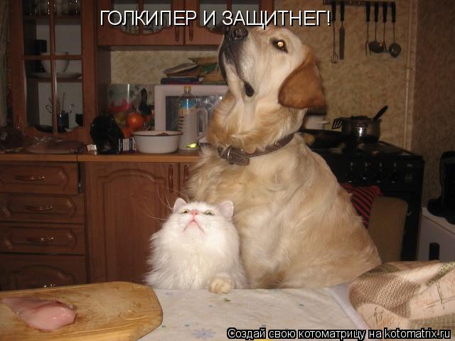 ГОЛКИПЕР И ЗАЩИТНЕГ!... Котоматрица: ГОЛКИПЕР И ЗАЩИТНЕГ!