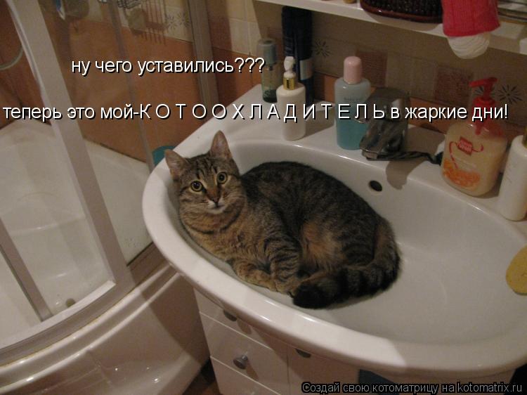 ну чего уставились??? теперь это мой-К О Т О О Х Л А Д И Т Е Л Ь в жаркие дни!... Котоматрица: ну чего уставились??? теперь это мой-К О Т О О Х Л А Д И Т Е Л Ь в жаркие дни!