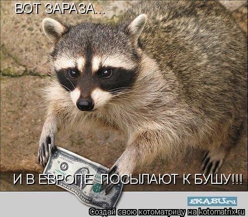 ВОТ ЗАРАЗА... И В ЕВРОПЕ ПОСЫЛАЮТ К БУШУ!!!... Котоматрица: ВОТ ЗАРАЗА... И В ЕВРОПЕ ПОСЫЛАЮТ К БУШУ!!!