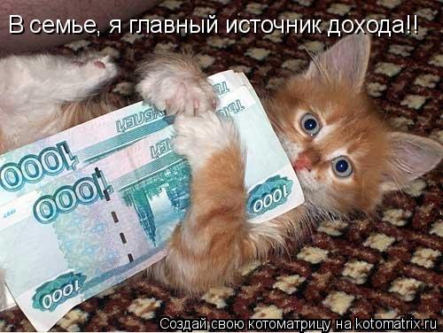 В семье, я главный источник дохода!!... Котоматрица: В семье, я главный источник дохода!!