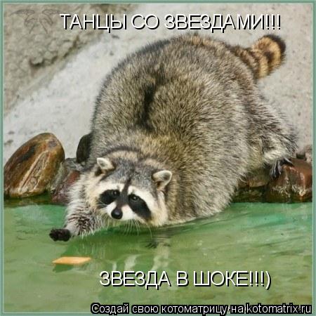 ТАНЦЫ СО ЗВЕЗДАМИ!!! ЗВЕЗДА В ШОКЕ!!!)... Котоматрица: ТАНЦЫ СО ЗВЕЗДАМИ!!! ЗВЕЗДА В ШОКЕ!!!)