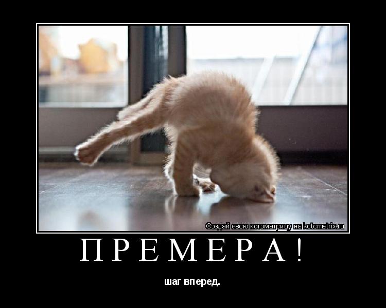 Котоматрица: премера! шаг вперед.