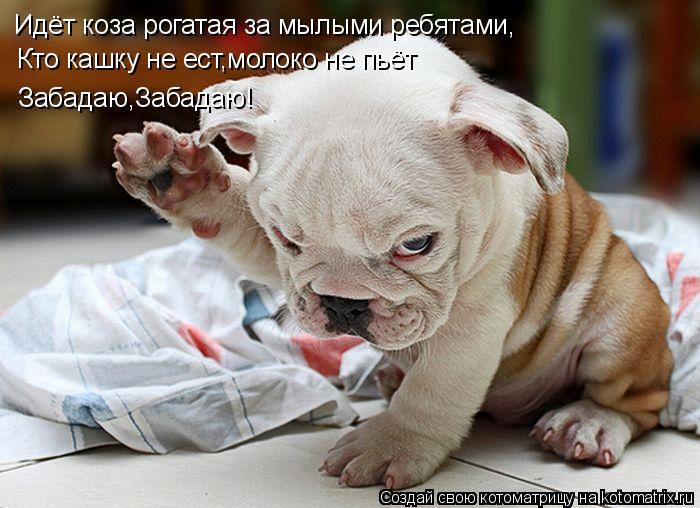 Идёт коза рогатая за мылыми ребятами, Кто кашку не ест,молоко не пьёт Забадаю,Забадаю!... Котоматрица: Идёт коза рогатая за мылыми ребятами, Кто кашку не ест,молоко не пьёт Забадаю,Забадаю!