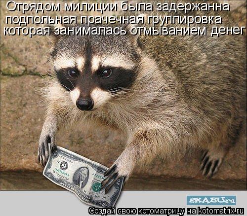 Отрядом милиции была задержанна подпольная прачечная группировка которая занималась отмыванием денег... Котоматрица: Отрядом милиции была задержанна подпольная прачечная группировка которая занималась отмыванием денег