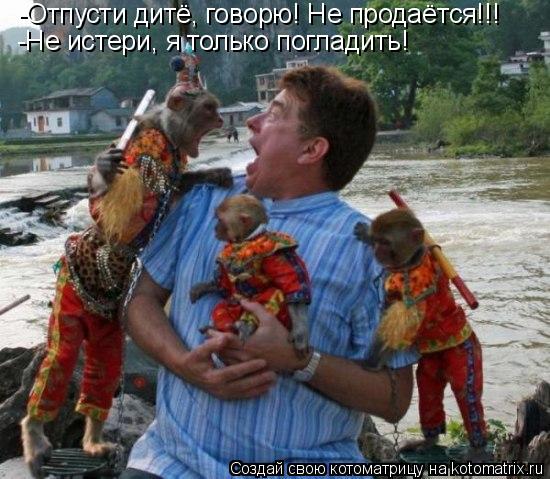 -Отпусти дитё, говорю! Не продаётся!!! -Не истери, я только погладить!... Котоматрица: -Отпусти дитё, говорю! Не продаётся!!! -Не истери, я только погладить!
