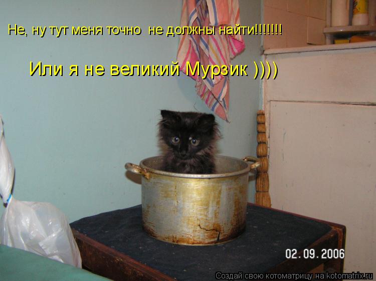Не, ну тут меня точно не должны найти!!!!!!! Или я не великий Мурзик ))))... Котоматрица: Не, ну тут меня точно не должны найти!!!!!!! Или я не великий Мурзик ))))