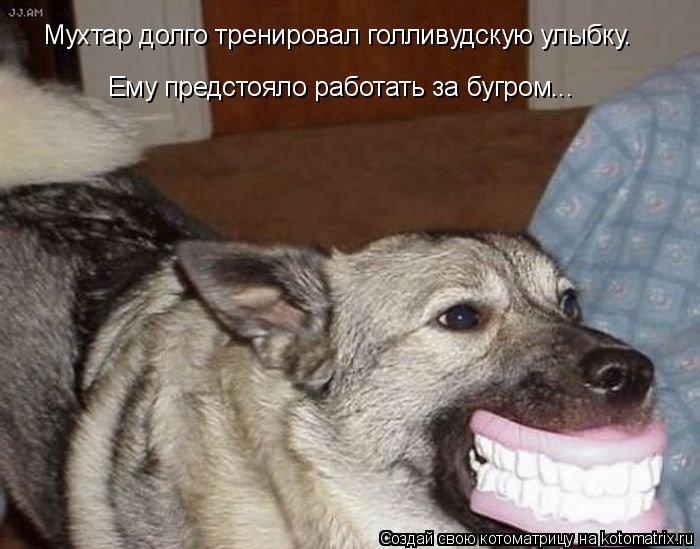 Мухтар долго тренировал голливудскую улыбку. Ему предстояло работать за бугром...... Котоматрица: Мухтар долго тренировал голливудскую улыбку. Ему предстояло работать за бугром...