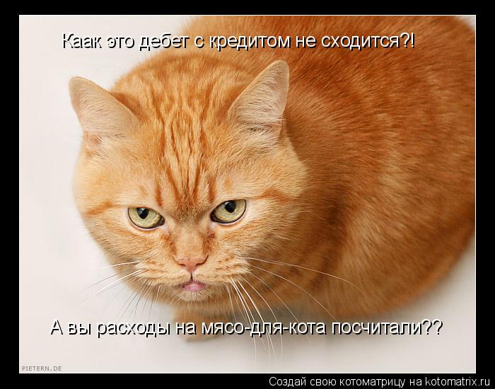 Каак это дебет с кредитом не сходится?! А вы расходы на мясо-для-кота посчитали??... Котоматрица: Каак это дебет с кредитом не сходится?! А вы расходы на мясо-для-кота посчитали??