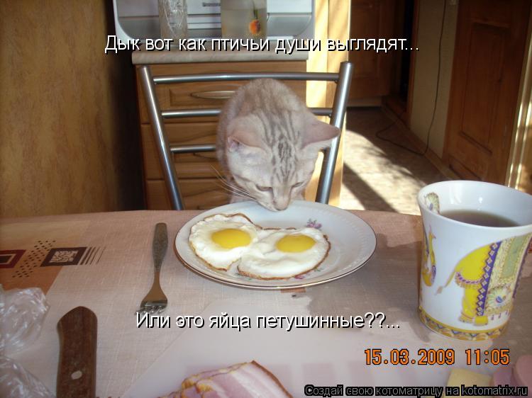 Дык вот как птичьи души выглядят... Или это яйца петушинные??...... Котоматрица: Дык вот как птичьи души выглядят... Или это яйца петушинные??...
