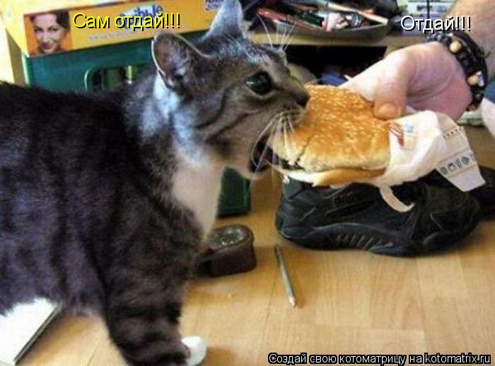 Отдай!!! Сам отдай!!!... Котоматрица: Отдай!!! Сам отдай!!!