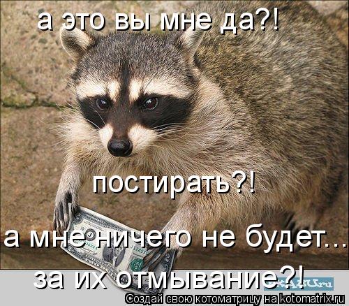 а это вы мне да?! постирать?! за их отмывание?! а мне ничего не будет...... Котоматрица: а это вы мне да?! постирать?! за их отмывание?! а мне ничего не будет...