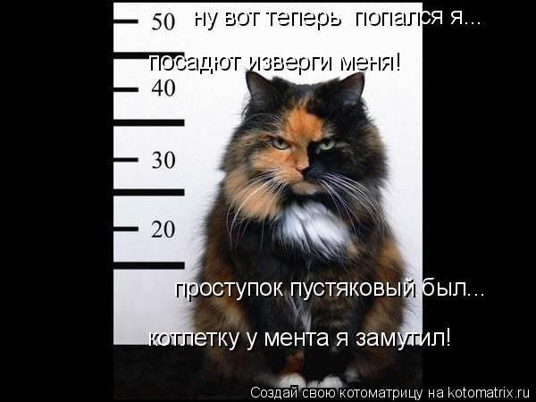 посадют изверги меня! проступок пустяковый был... ну вот теперь попался я... котлетку у мента я заму... Котоматрица: посадют изверги меня! проступок пустяковый был... ну вот теперь попался я... котлетку у мента я замутил!