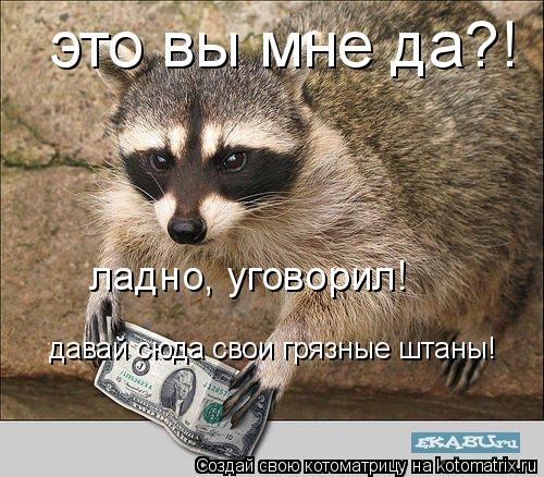 это вы мне да?! ладно, уговорил! давай сюда свои грязные штаны!... Котоматрица: это вы мне да?! ладно, уговорил! давай сюда свои грязные штаны!