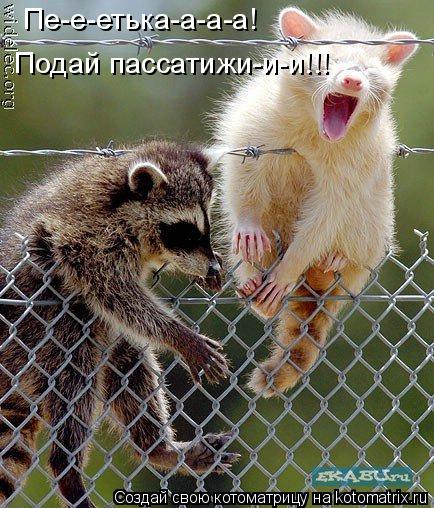Пе-е-етька-а-а-а! Подай пассатижи-и-и!!!... Котоматрица: Пе-е-етька-а-а-а! Подай пассатижи-и-и!!!