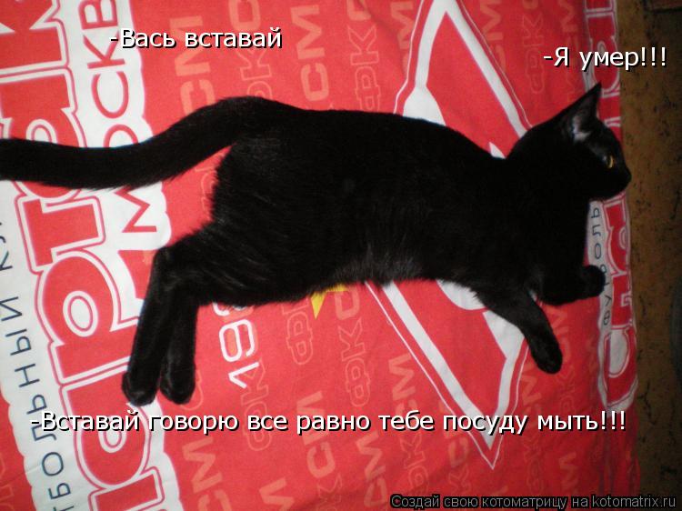 -Вась вставай -Я умер!!! -Вставай говорю все равно тебе посуду мыть!!!... Котоматрица: -Вась вставай -Я умер!!! -Вставай говорю все равно тебе посуду мыть!!!