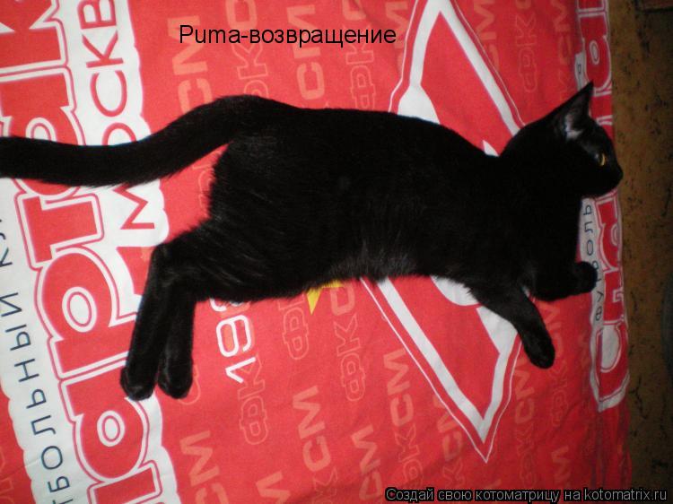 Puma-возвращение... Котоматрица: Puma-возвращение