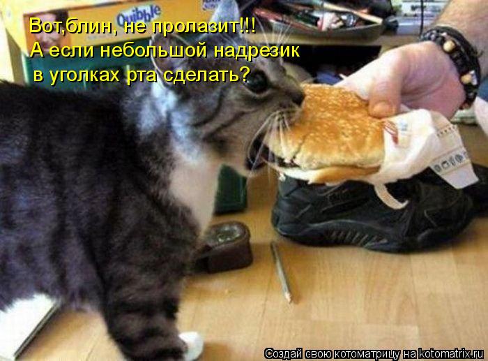 Вот,блин, не пролазит!!! А если небольшой надрезик в уголках рта сделать?... Котоматрица: Вот,блин, не пролазит!!! А если небольшой надрезик в уголках рта сделать?