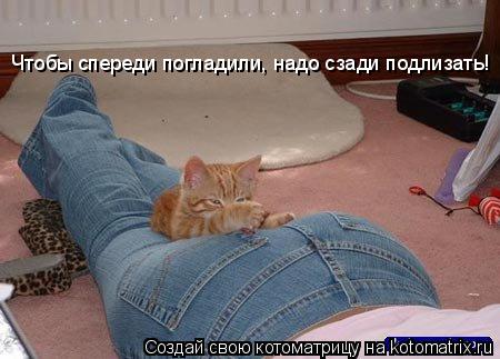 Чтобы спереди погладили, надо сзади подлизать!... Котоматрица: Чтобы спереди погладили, надо сзади подлизать!