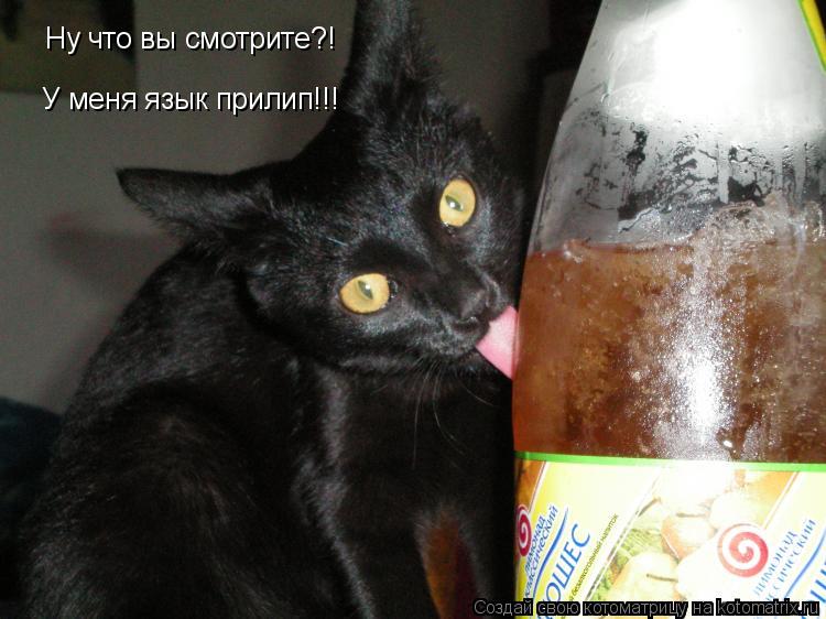 Ну что вы смотрите?! У меня язык прилип!!!... Котоматрица: Ну что вы смотрите?! У меня язык прилип!!!