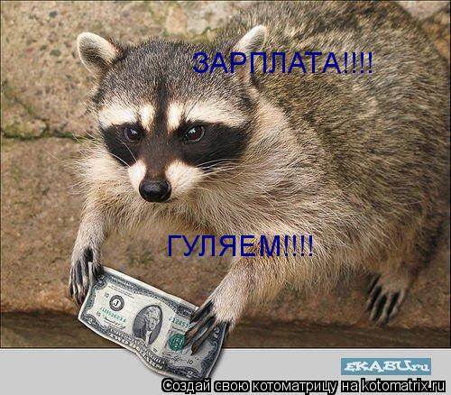 ЗАРПЛАТА!!!! ГУЛЯЕМ!!!!... Котоматрица: ЗАРПЛАТА!!!! ГУЛЯЕМ!!!!