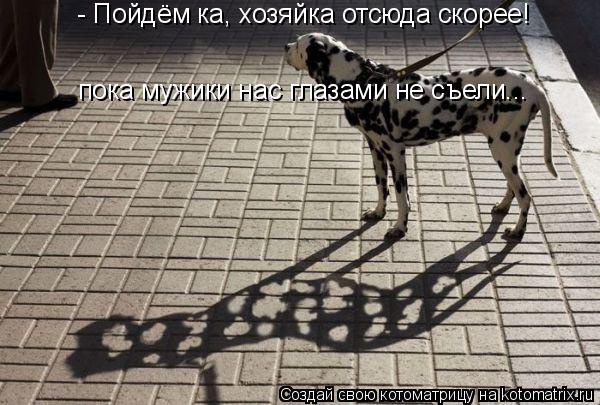 - Пойдём ка, хозяйка отсюда скорее! пока мужики нас глазами не съели...... Котоматрица: - Пойдём ка, хозяйка отсюда скорее! пока мужики нас глазами не съели...