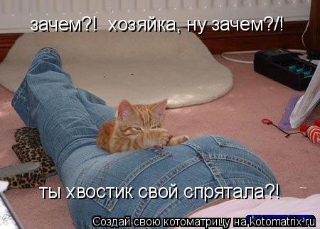зачем?! хозяйка, ну зачем?/! ты хвостик свой спрятала?!... Котоматрица: зачем?! хозяйка, ну зачем?/! ты хвостик свой спрятала?!
