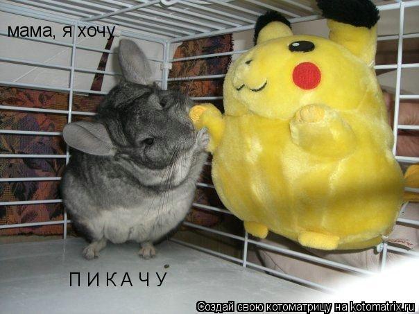 мама, я хочу П И К А Ч У... Котоматрица: мама, я хочу П И К А Ч У