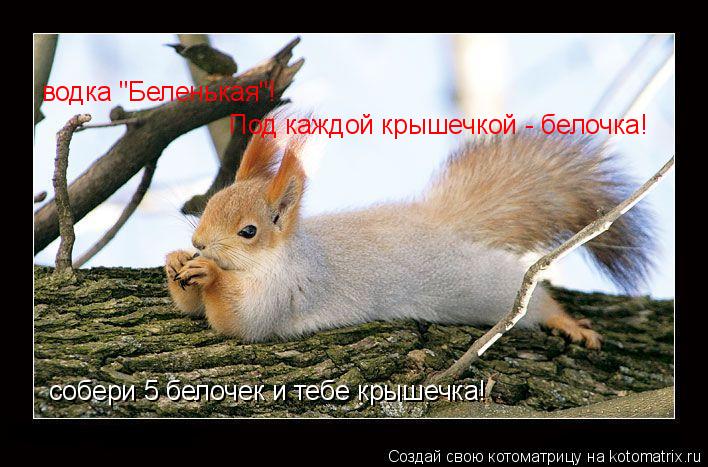 водка "Беленькая"! Под каждой крышечкой - белочка! собери 5 белочек и тебе крышечка!... Котоматрица: водка "Беленькая"! Под каждой крышечкой - белочка! собери 5 белочек и тебе крышечка!