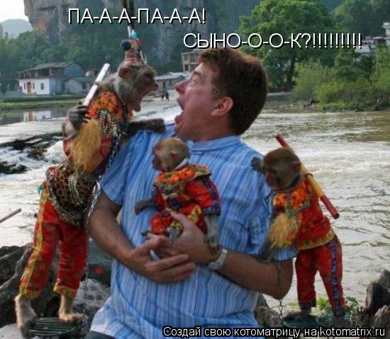 ПА-А-А-ПА-А-А! СЫНО-О-О-К?!!!!!!!!!... Котоматрица: ПА-А-А-ПА-А-А! СЫНО-О-О-К?!!!!!!!!!