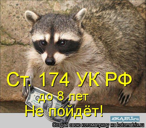 Ст. 174 УК РФ до 8 лет Не пойдёт!... Котоматрица: Ст. 174 УК РФ до 8 лет Не пойдёт!