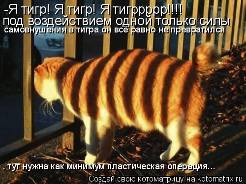 -Я тигр! Я тигр! Я тигррррр!!!! под воздействием одной только силы самовнушения в тигра он всё равно... Котоматрица: -Я тигр! Я тигр! Я тигррррр!!!! под воздействием одной только силы самовнушения в тигра он всё равно не превратился — тут нужна как минимум пл