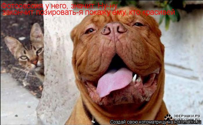 Фотосессия у него, значит. Ну-ну. закончит позировать-я покажу ему, кто красивей... Котоматрица: Фотосессия у него, значит. Ну-ну. закончит позировать-я покажу ему, кто красивей