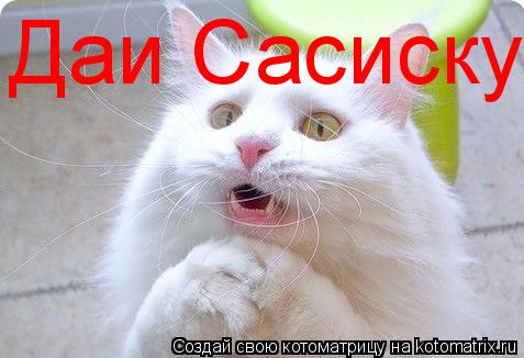 Даи Сасиску... Котоматрица: Даи Сасиску