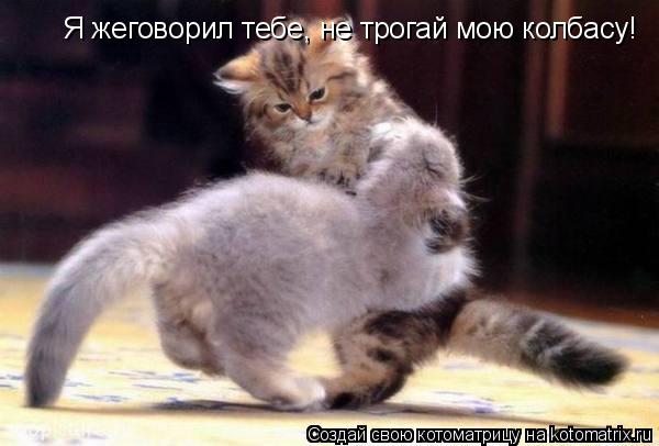 Я жеговорил тебе, не трогай мою колбасу!... Котоматрица: Я жеговорил тебе, не трогай мою колбасу!