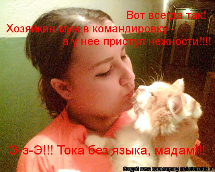 Вот всегда так! Хозяйкин муж в командировку - а у нее приступ нежности!!!! Э-э-Э!!! Тока без языка, ... Котоматрица: Вот всегда так! Хозяйкин муж в командировку - а у нее приступ нежности!!!! Э-э-Э!!! Тока без языка, мадам!!!