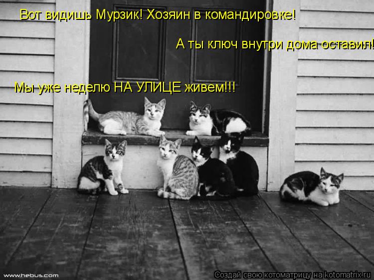 Вот видишь Мурзик! Хозяин в командировке! А ты ключ внутри дома оставил! Мы уже неделю НА УЛИЦЕ жив... Котоматрица: Вот видишь Мурзик! Хозяин в командировке! А ты ключ внутри дома оставил! Мы уже неделю НА УЛИЦЕ живем!!!