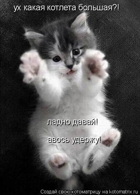 ух какая котлета большая?! ладно давай! авось удержу!... Котоматрица: ух какая котлета большая?! ладно давай! авось удержу!