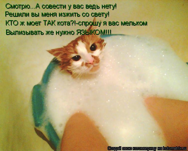 Смотрю...А совести у вас ведь нету! Решили вы меня изжить со свету! КТО ж моет ТАК кота?!-спрошу я ва... Котоматрица: Смотрю...А совести у вас ведь нету! Решили вы меня изжить со свету! КТО ж моет ТАК кота?!-спрошу я вас мельком Вылизывать же нужно ЯЗЫКОМ!!!