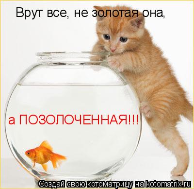 Котоматрица: Врут все, не золотая она , а ПОЗОЛОЧЕННАЯ!!!