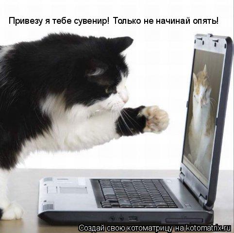 Котоматрица: Привезу я тебе сувенир! Только не начинай опять!