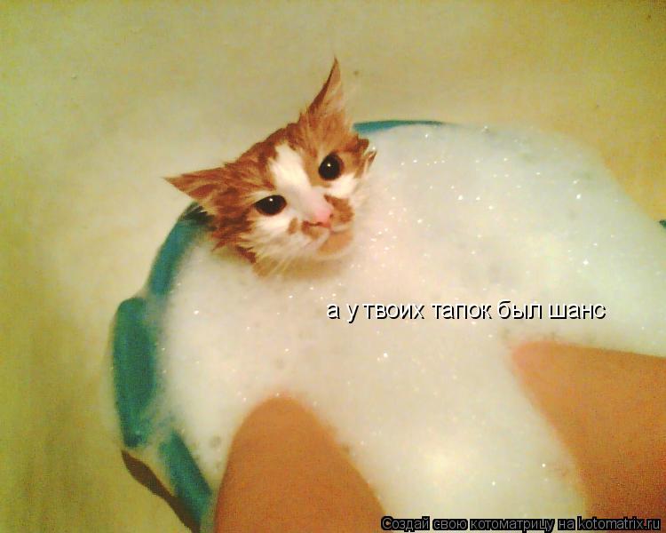 а у твоих тапок был шанс... Котоматрица: а у твоих тапок был шанс