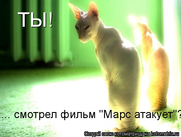 ТЫ! ... смотрел фильм "Марс атакует"?... Котоматрица: ТЫ! ... смотрел фильм "Марс атакует"?