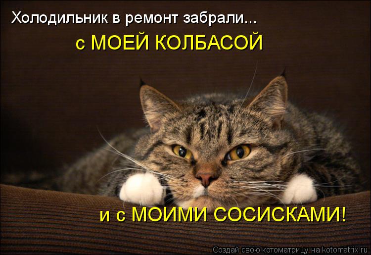 Холодильник в ремонт забрали... с МОЕЙ КОЛБАСОЙ и с МОИМИ СОСИСКАМИ!... Котоматрица: Холодильник в ремонт забрали... с МОЕЙ КОЛБАСОЙ и с МОИМИ СОСИСКАМИ!